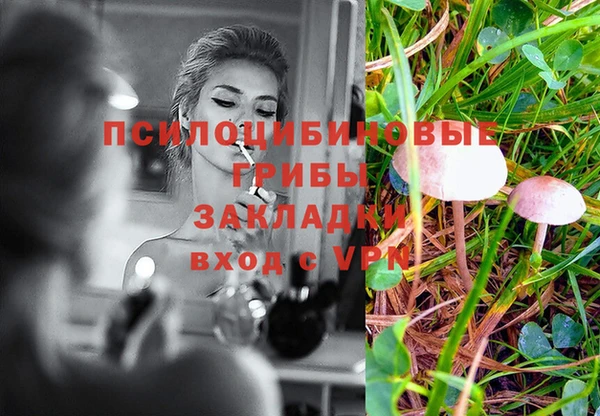 дживик Алзамай