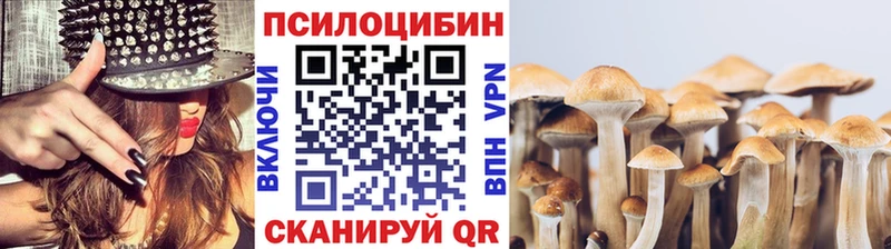 маркетплейс Telegram  Котельники  Псилоцибиновые грибы MAGIC MUSHROOMS 