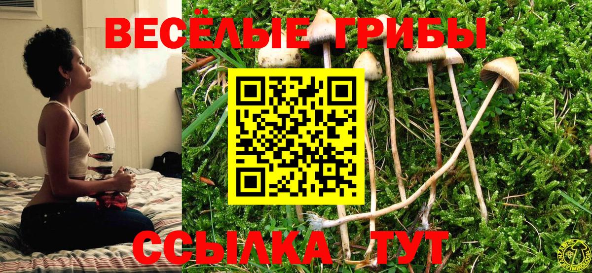 Галлюциногенные грибы прущие грибы Котельники