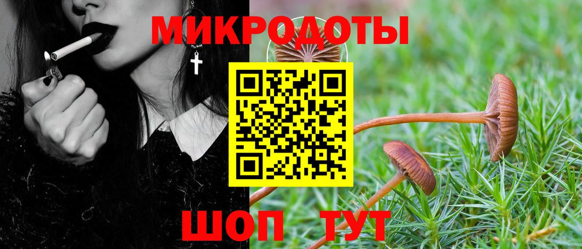 Галлюциногенные грибы GOLDEN TEACHER  Вход с VPN  Котельники  Галлюциногенные грибы Cubensis 